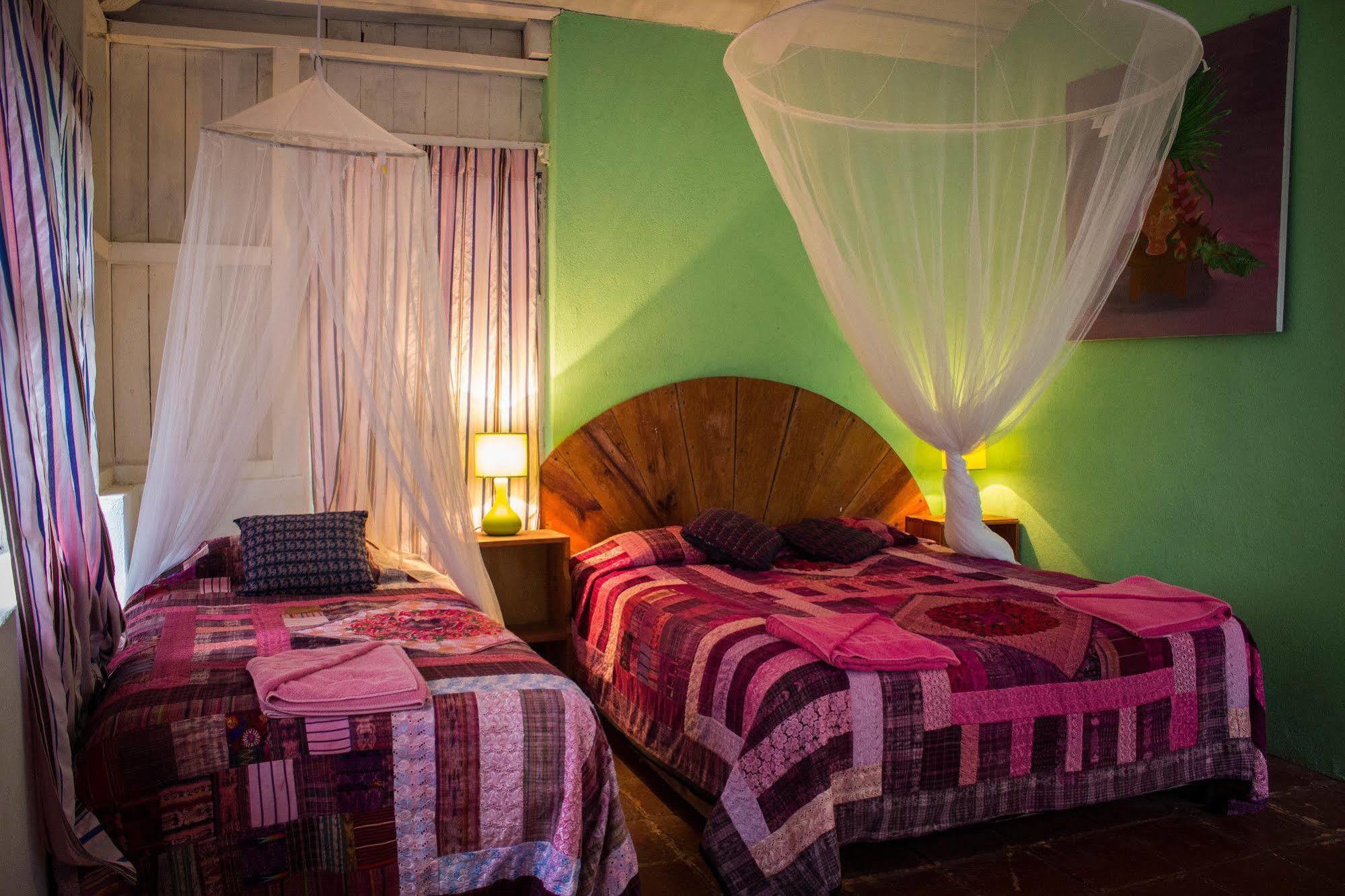Hotel Y Restaurante La Casa Rosa ซานตาครูซลาลากูนา ภายนอก รูปภาพ