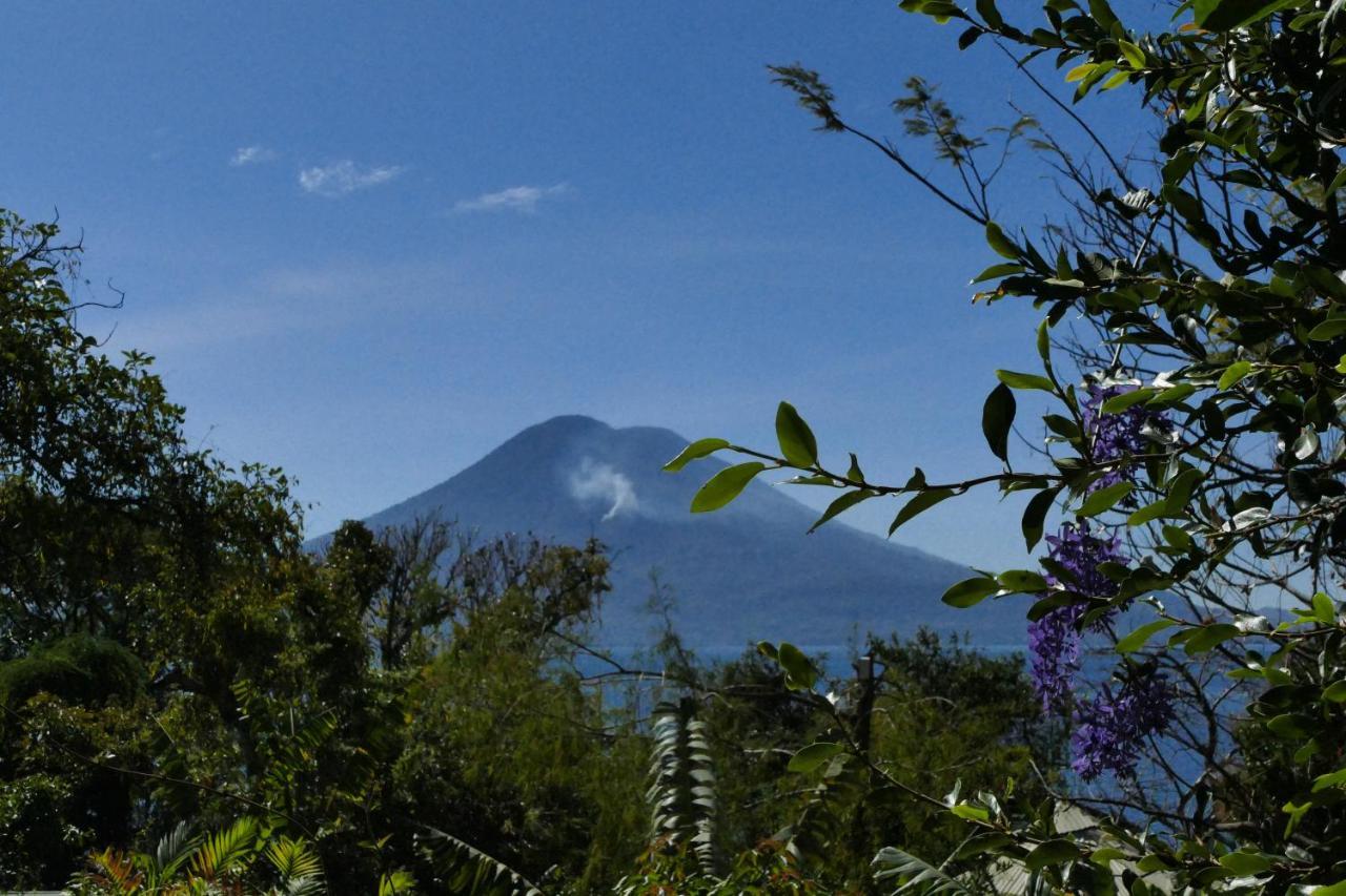 Hotel Y Restaurante La Casa Rosa ซานตาครูซลาลากูนา ภายนอก รูปภาพ
